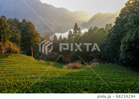 月ヶ瀬と茶畑と朝日(奈良県奈良市) 月ヶ瀬と茶畑と朝日(奈良県奈良市) 68239294