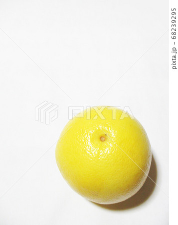 グレープフルーツ 68239295