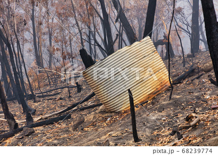 A water tank and gum trees burnt by severe bushfire in The Blue Mountains in Australia A water tank and gum trees burnt by severe bushfire in The Blue Mountains in Australia 68239774