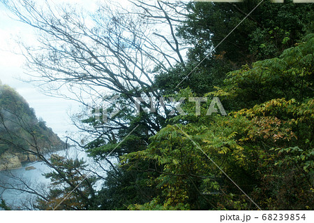四季の散歩　秋　城崎温泉 68239854