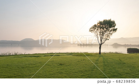 東郷池　夏の朝風景 68239856