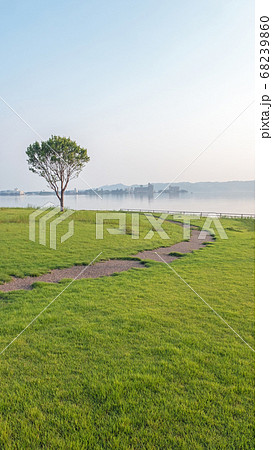 東郷池　夏の朝風景 68239860