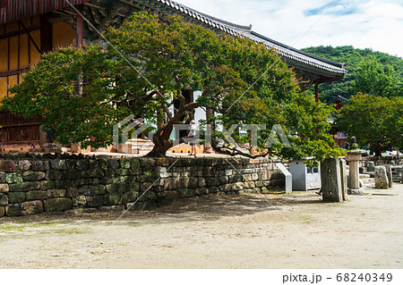 禅雲寺 寺院 木 68240349