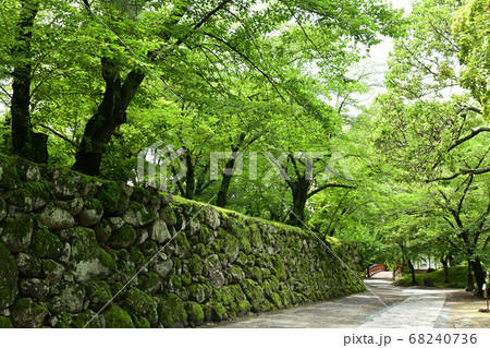 日本100名城・小諸城 日本100名城・小諸城 68240736