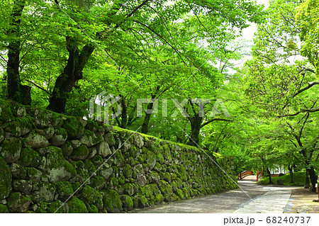 日本100名城・小諸城 日本100名城・小諸城 68240737