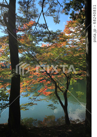 秋の南伊奈ヶ湖の風景 68240831