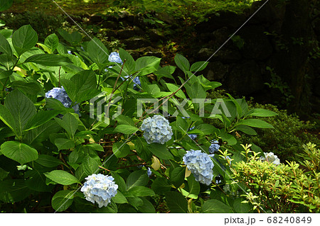 日本100名城・小諸城 68240849