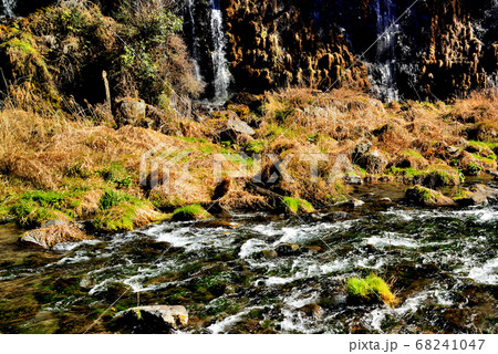 富士宮市 白糸の滝からの清流 富士宮市 白糸の滝からの清流 68241047