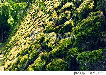 日本100名城・小諸城 日本100名城・小諸城 68241102