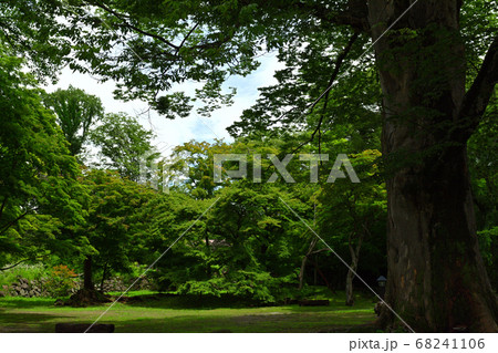 日本100名城・小諸城 68241106