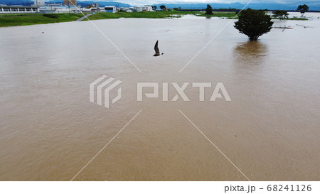 空から見た最上川の増水の様子 68241126