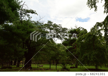 日本100名城・小諸城 日本100名城・小諸城 68241301