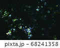 花ステンドグラス 68241358
