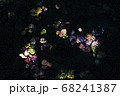 花アート 68241387