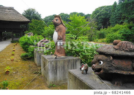 8月 館林42分福茶釜の茂林寺の写真素材