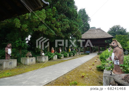 8月 館林40分福茶釜の茂林寺の写真素材