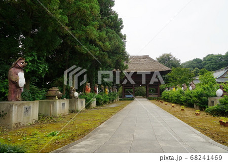 8月　館林39分福茶釜の茂林寺 68241469