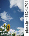 夏風 68241704