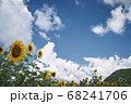 夏風 68241706
