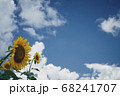 夏風 68241707