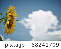 夏風 68241709