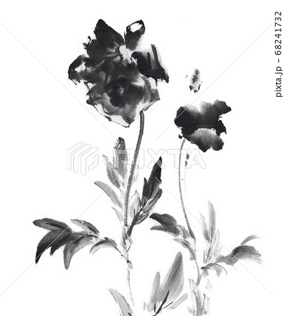 水墨画で描いたヒナゲシ 68241732