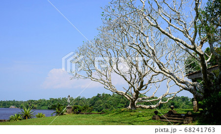 ルヌガンガ スリランカ ルヌガンガ スリランカ 68241763