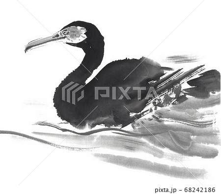 水墨画で描いた川を泳ぐ鵜のイラスト素材 [68242186] - PIXTA