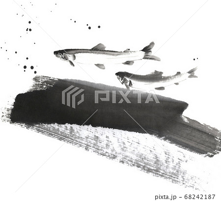 水墨画で描いた鮎のイラスト素材