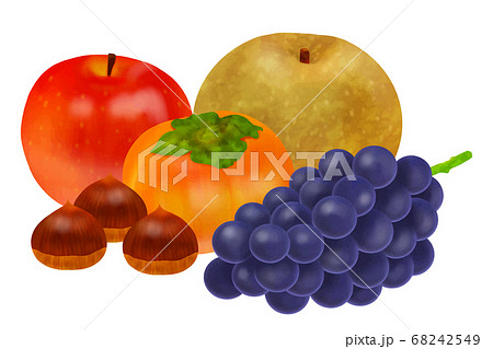 秋の果物のイラスト素材