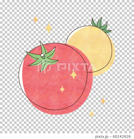 新鮮的紅色和黃色番茄 68242626