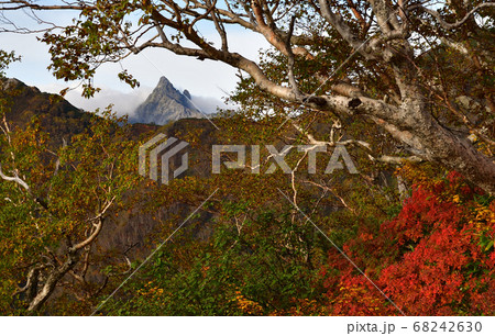 燕岳登山中に合戦尾根で見かけた槍ヶ岳の鋭峰 燕岳登山中に合戦尾根で見かけた槍ヶ岳の鋭峰 68242630