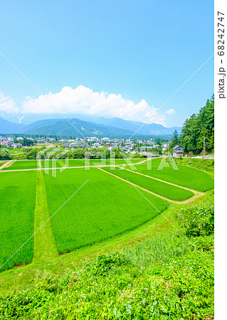 夏の田園風景(長野県白馬村) 夏の田園風景(長野県白馬村) 68242747