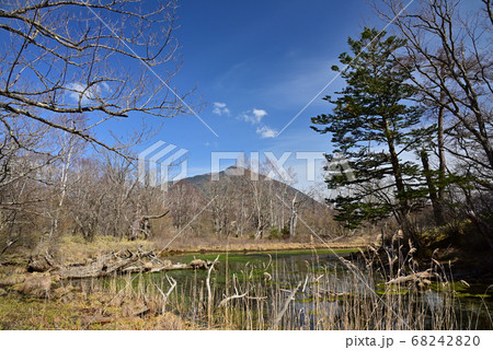 春間近の戦場ヶ原泉門池 春間近の戦場ヶ原泉門池 68242820
