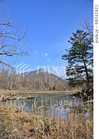 春間近の戦場ヶ原泉門池 春間近の戦場ヶ原泉門池 68242821