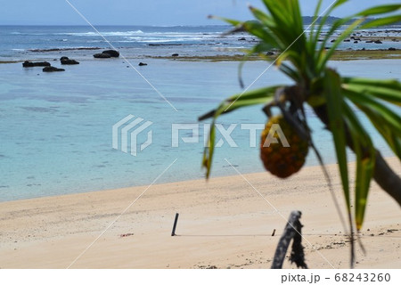 砂浜の写真 砂浜の写真 68243260