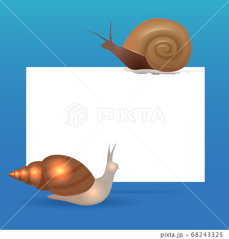 Banner template with snails and place for text. Vector element for your design 68243325