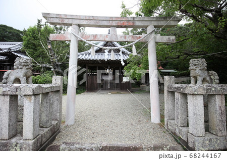 御崎神社 御崎神社 68244167