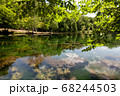 鳥沼公園 68244503