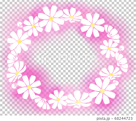 Cosmos frame 68244723