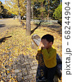 イチョウ並木の公園で遊ぶ3歳の男の子 68244904