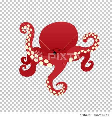 octopus octopus 68246234
