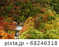 箱根の紅葉 箱根の紅葉 68246318