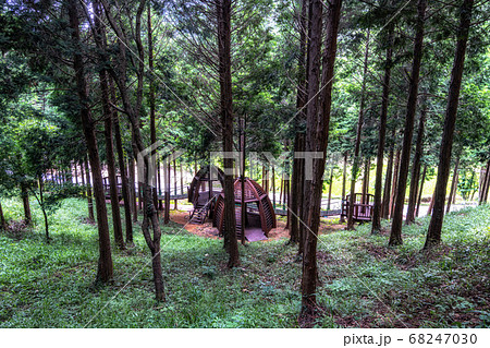 mujangye forest trail in jindo mujangye forest trail in jindo 68247030