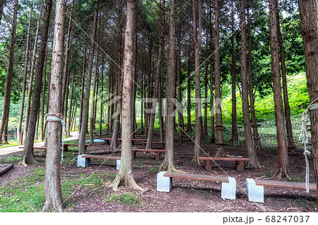 mujangye forest trail in jindo mujangye forest trail in jindo 68247037