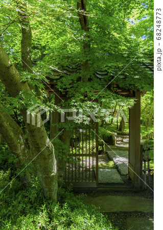 松山庭園美術館 青楓と格子戸 松山庭園美術館 青楓と格子戸 68248773