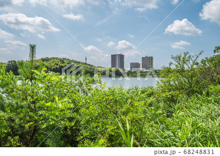 愛知県　愛知池 68248831