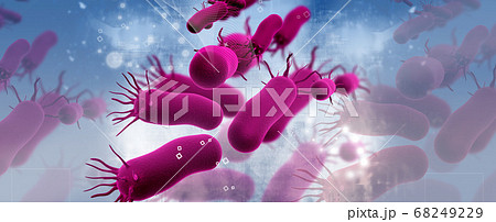 bacteria 68249229