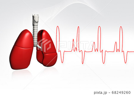 Human lungs with ECG Human lungs with ECG 68249260