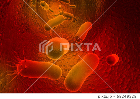 Bacteria 68249528